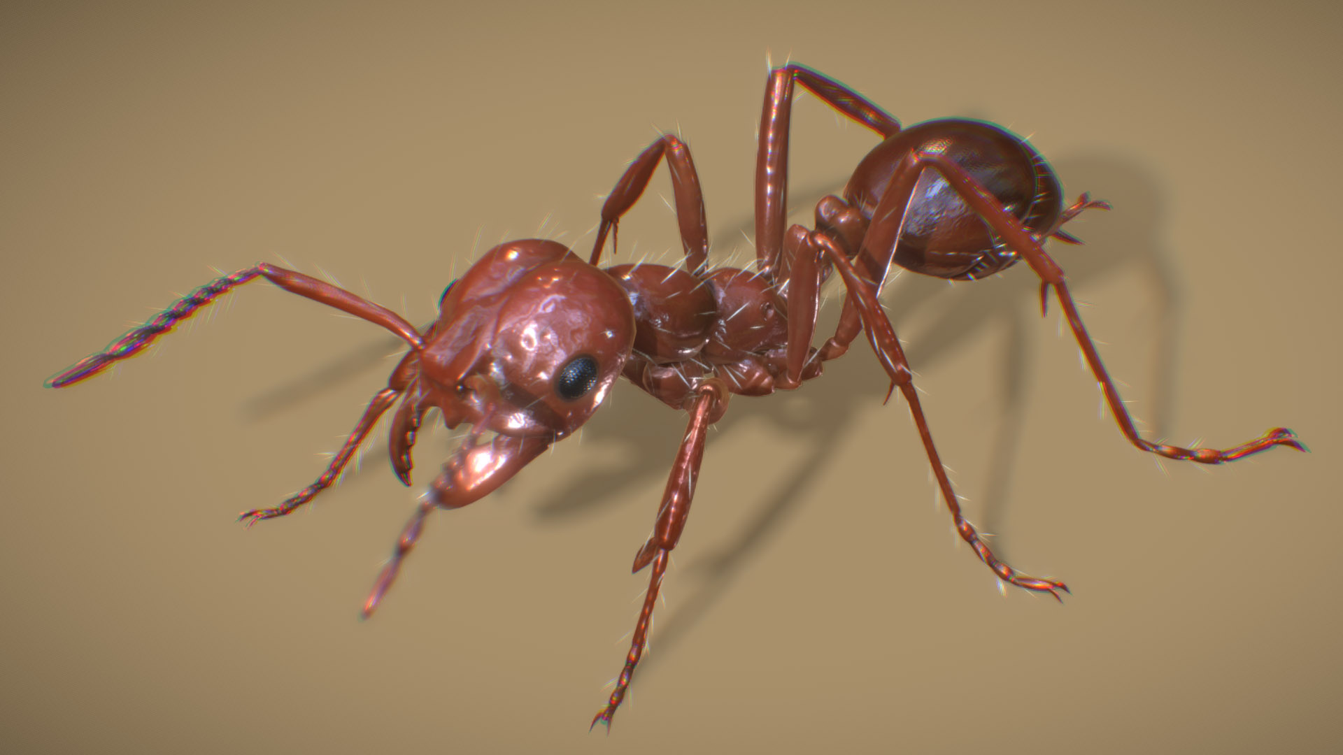 Fire Ant ( Worker ) | Fab