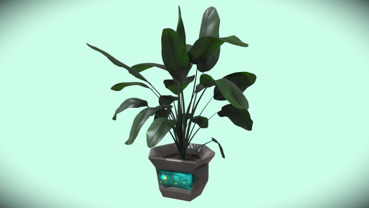 Media 1 for listing Plant Grow Pot