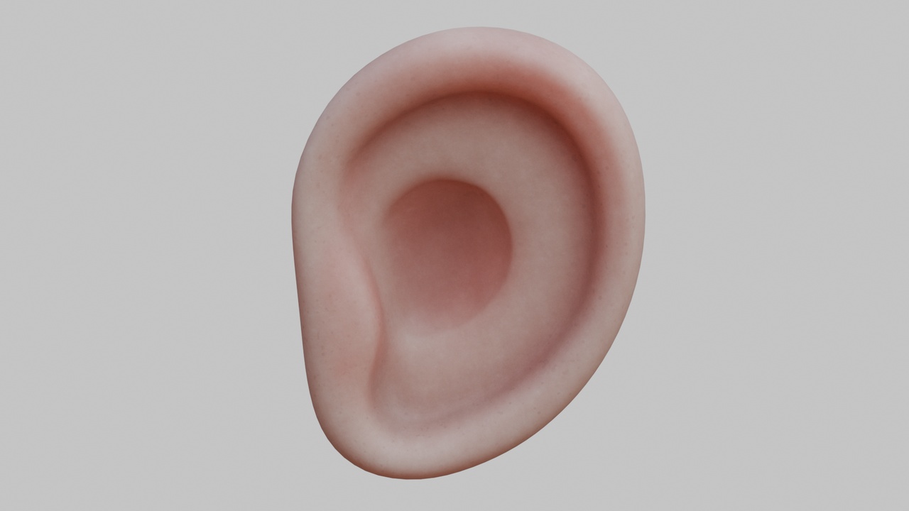 Media 1 for listing Stylized human ear