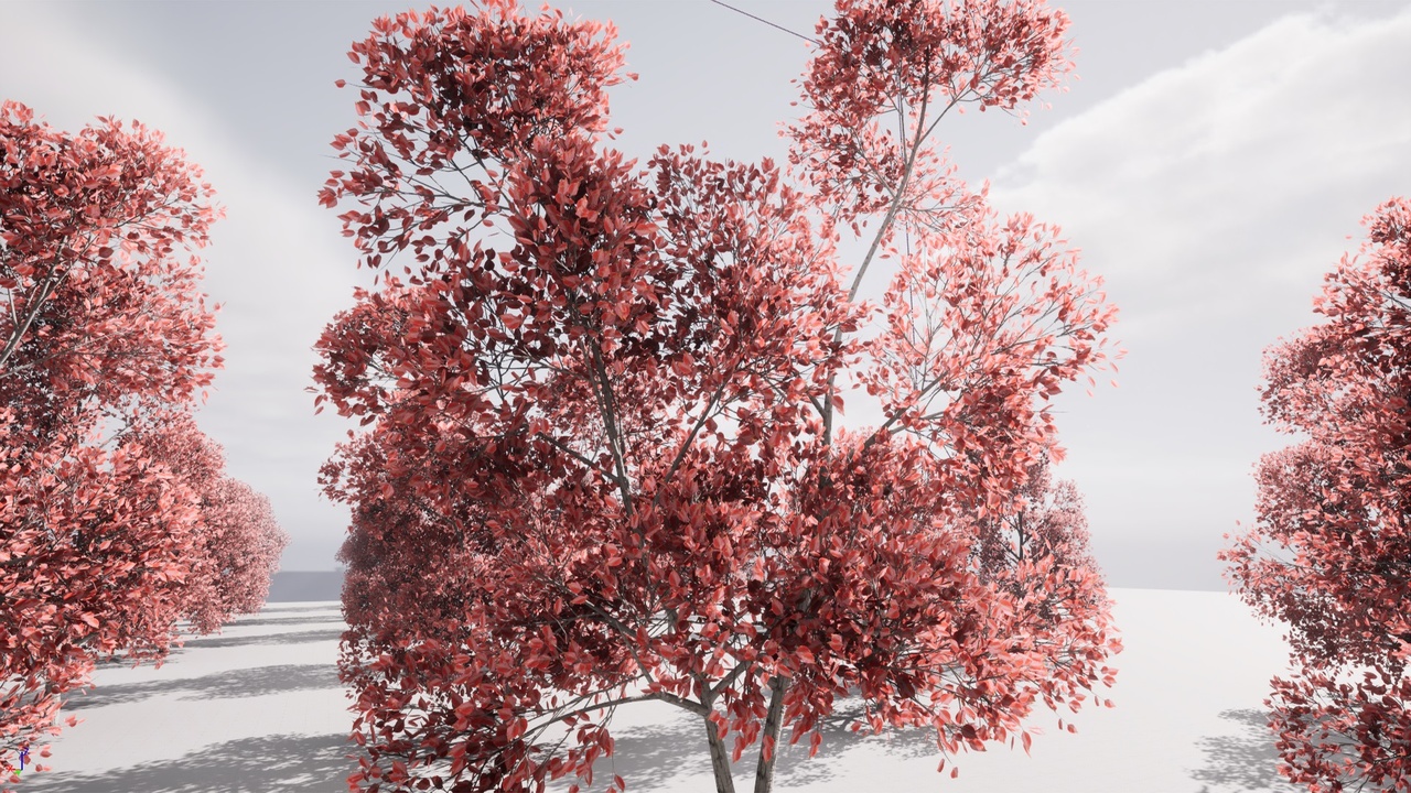 Media 1 for listing HighPoly Tree Pack 37