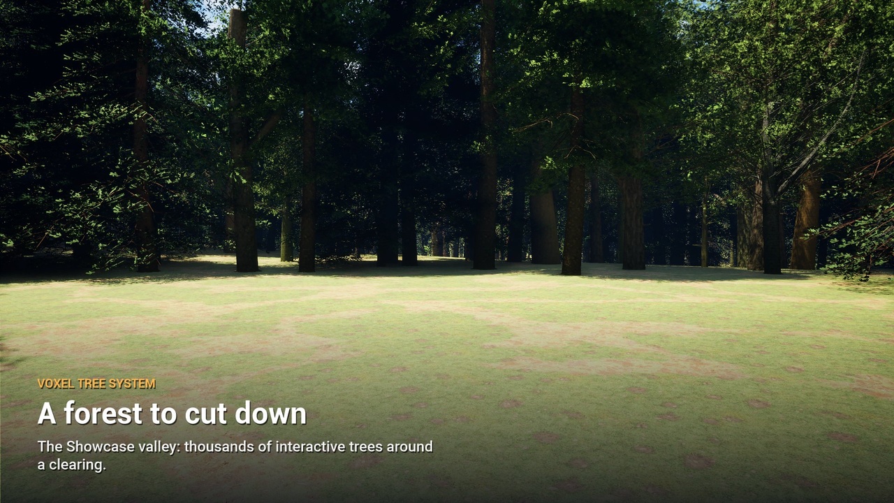 Media 1 for listing Voxel Tree System - Interactive Trees and Choppable Forests