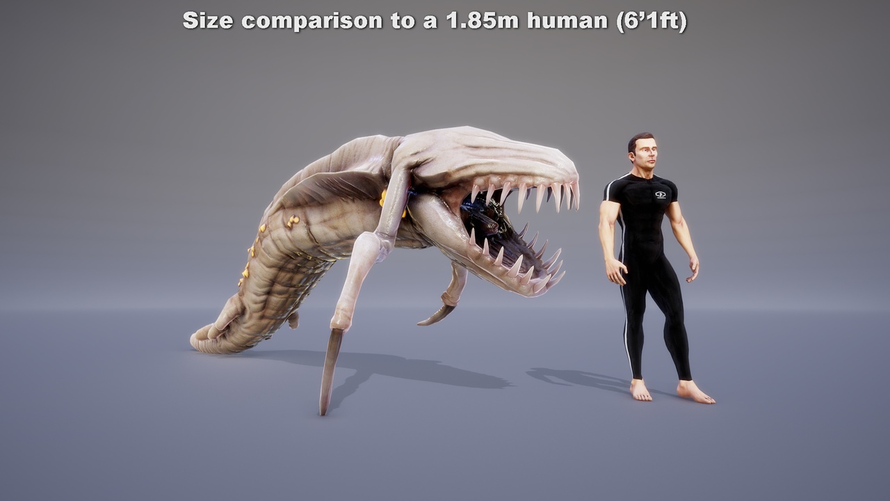 Media 1 for listing SCI FI: KOLOSSOXENOPHIS LARVA