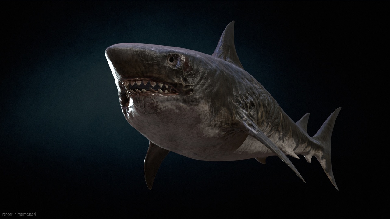 Media 1 for listing AlienShark 3