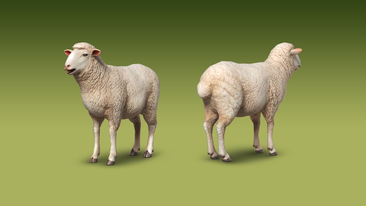 Media 1 for listing Realistic Sheep 3D Model – Rigged Animated