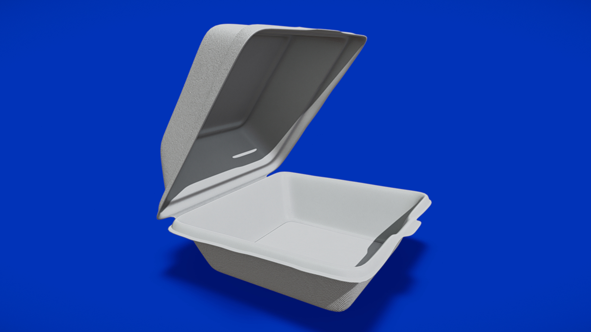Disposable - Food Styrofoam Container | Fab