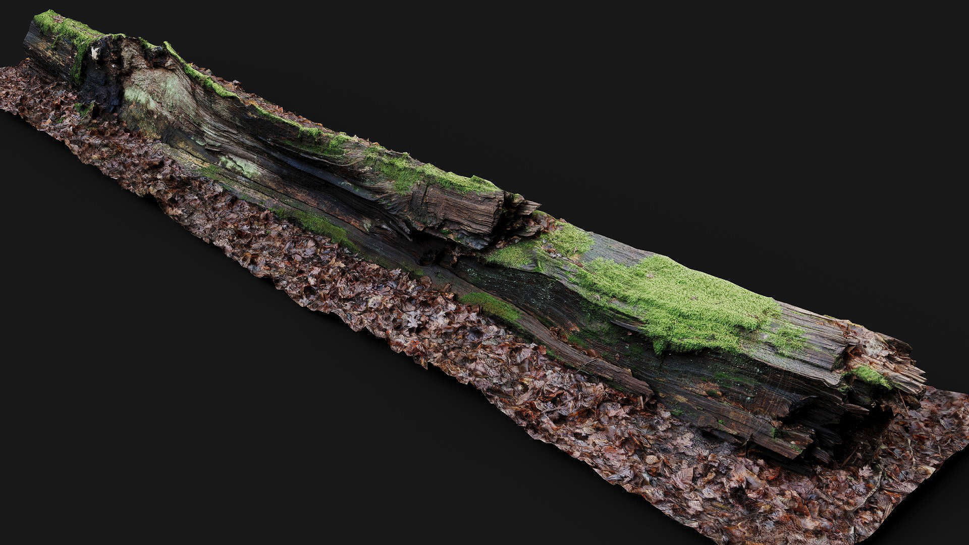 forest ground mossy tree trunk debris pt10 photogrammetry | Fab
