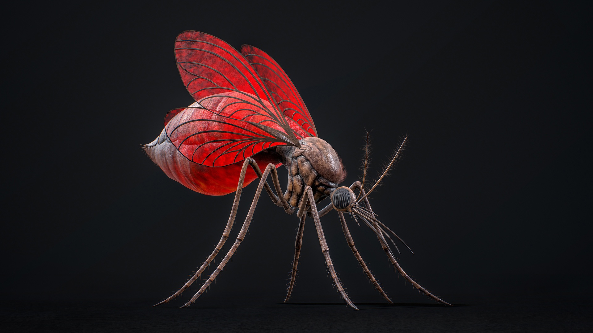 Media 1 for listing Mosquito Queen - Fantasy Poison Mosquitoes