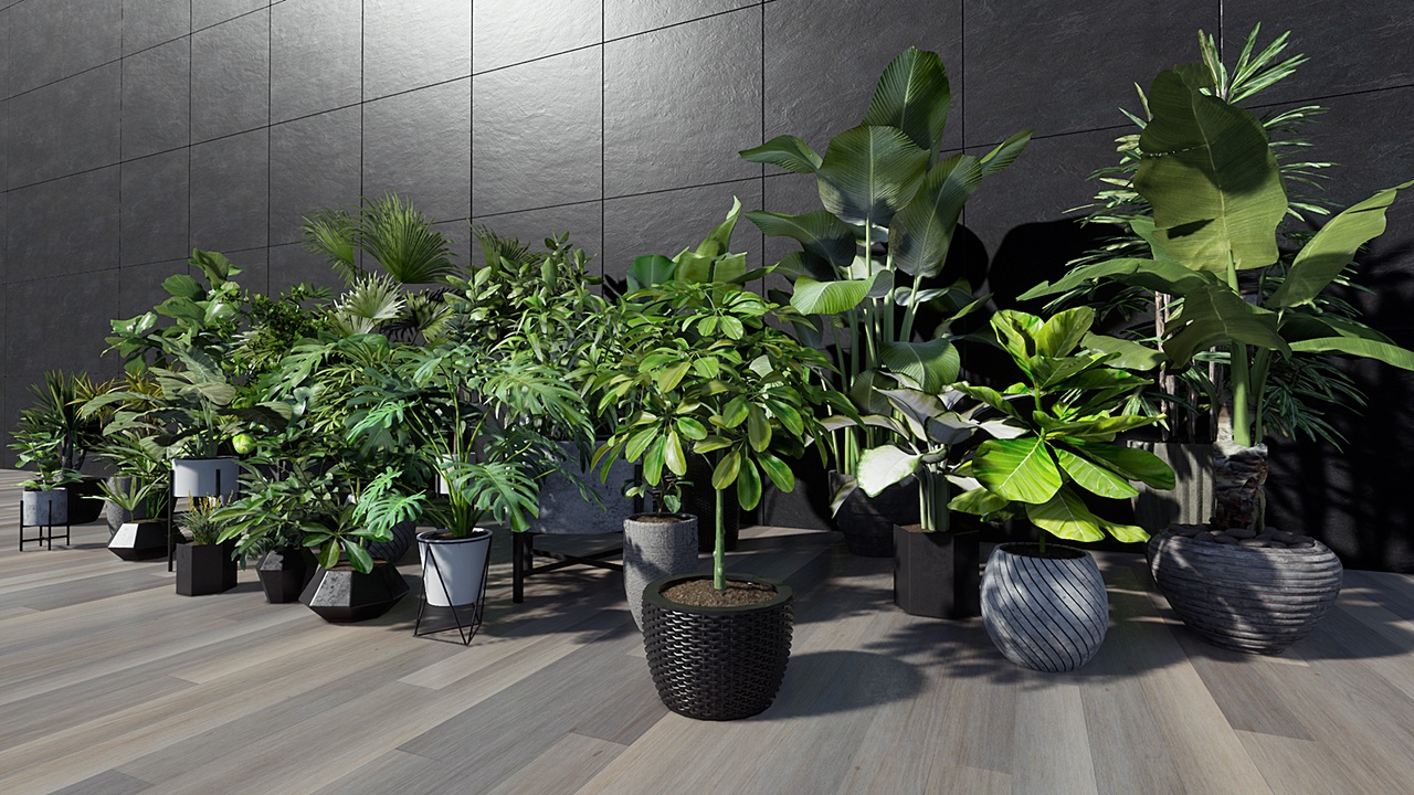 商品 Tropical House Plants 2 的媒体 1