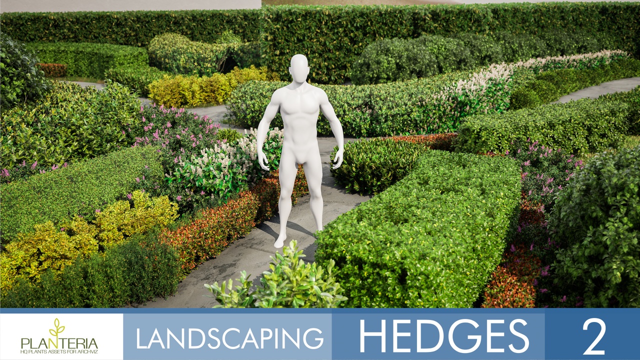 Media 1 for listing Hedges Path 2