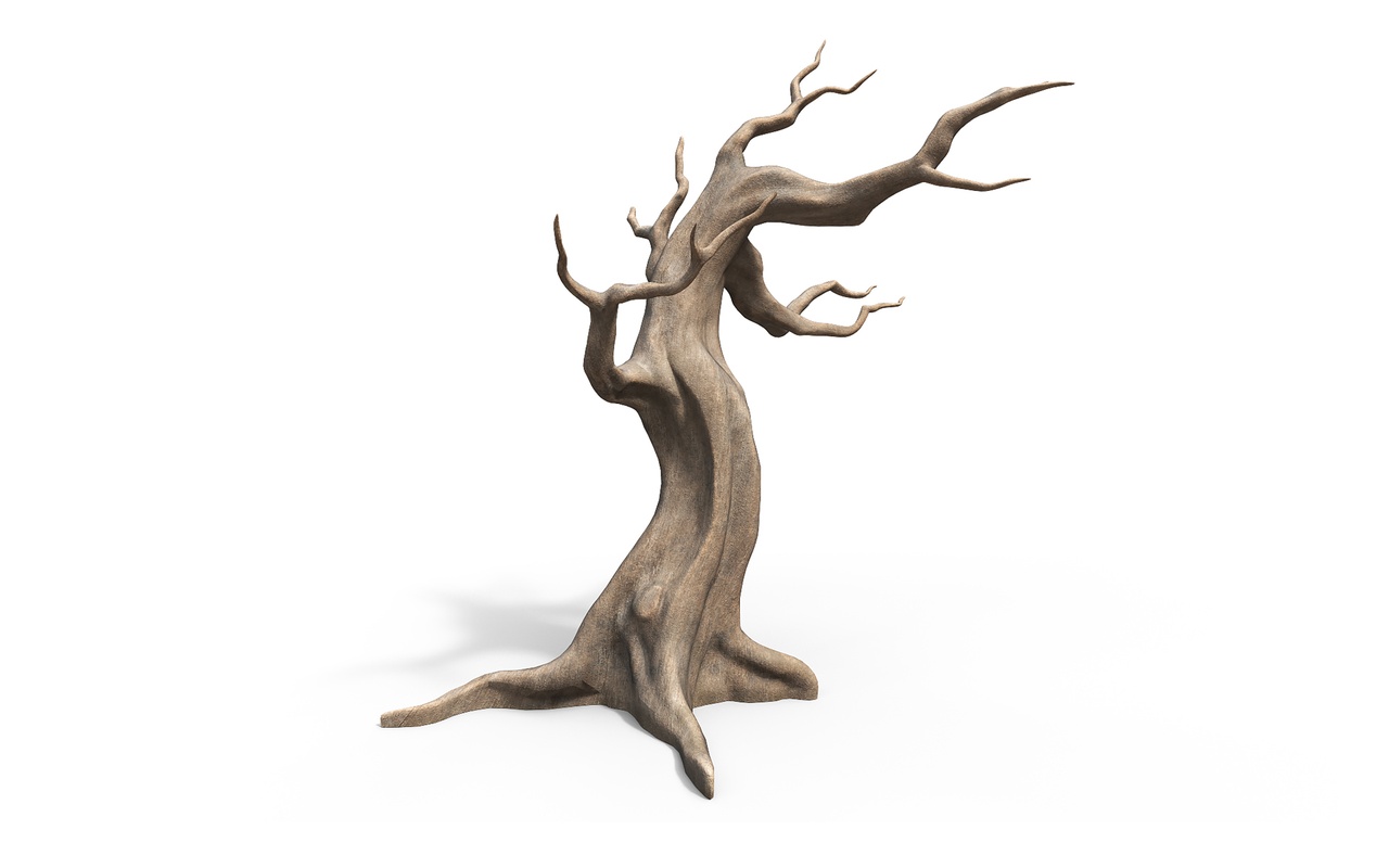 Media 1 for listing Dead dry tree