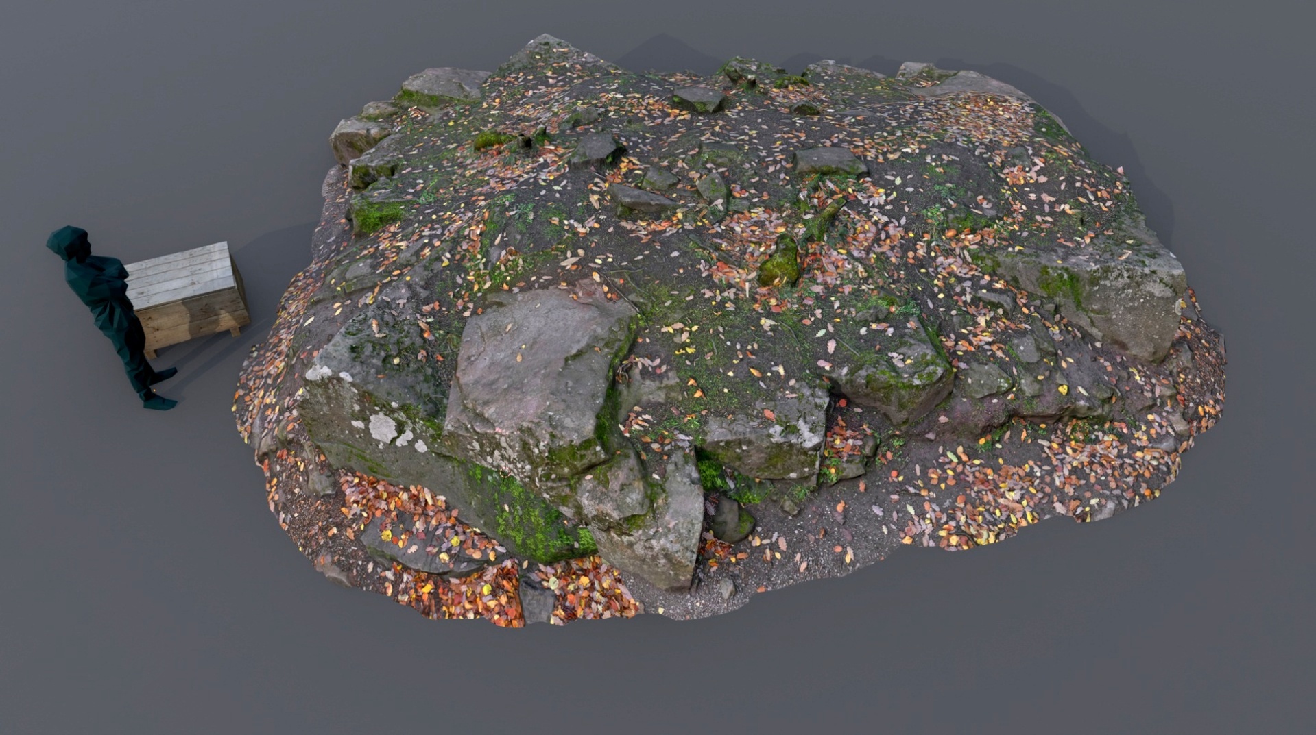 File multimediali per l'articolo Forest ground rock group: 1