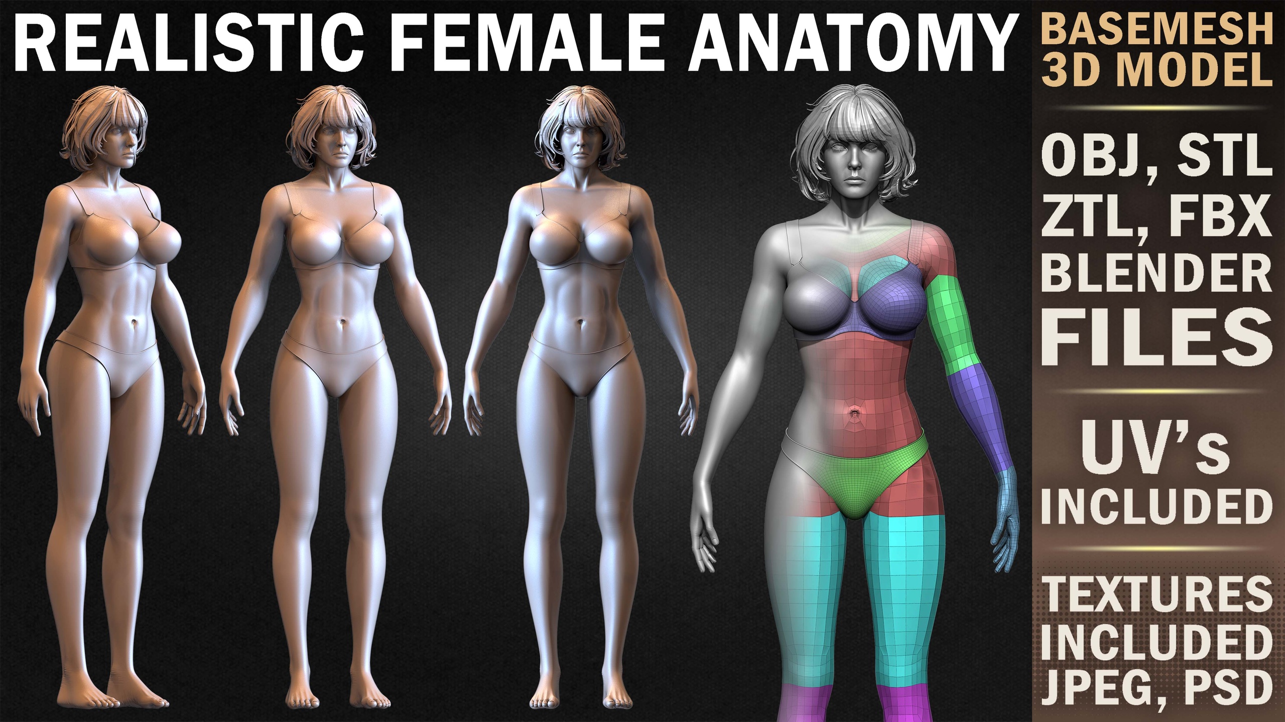 Media 1 for listing Realistic Female Anatomy Basemesh 3D Model