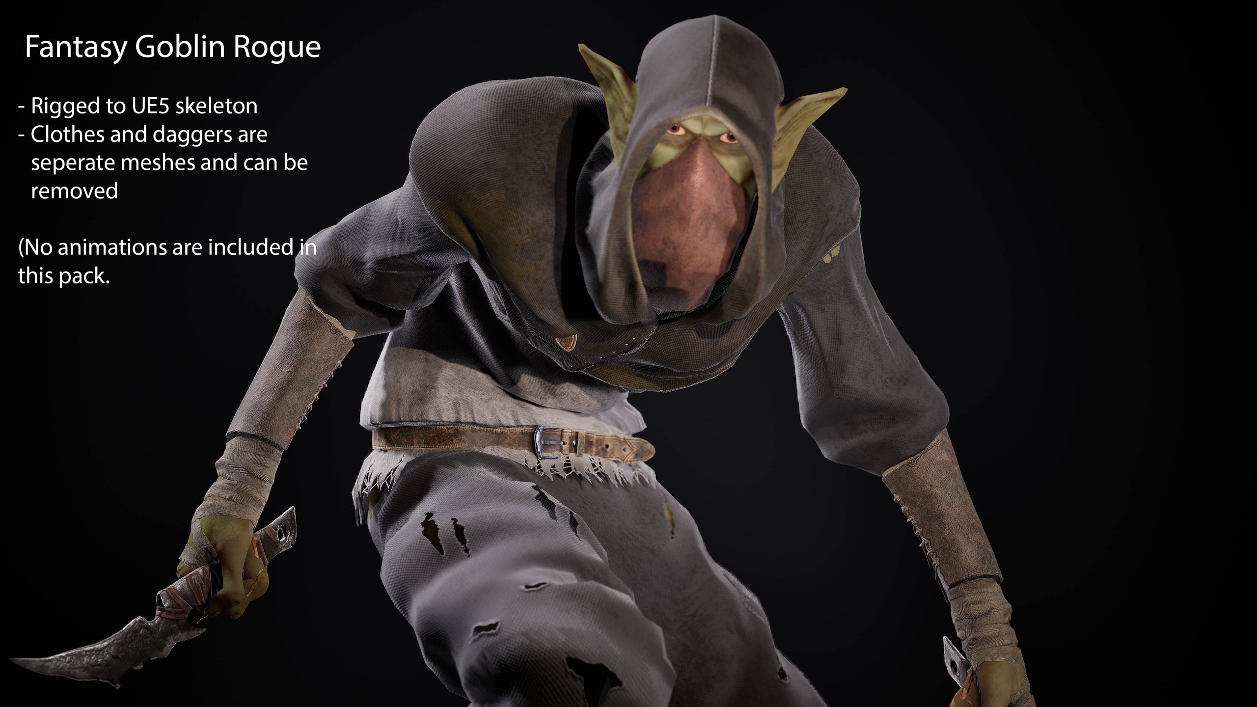 Media 1 for listing Fantasy Goblin Rogue