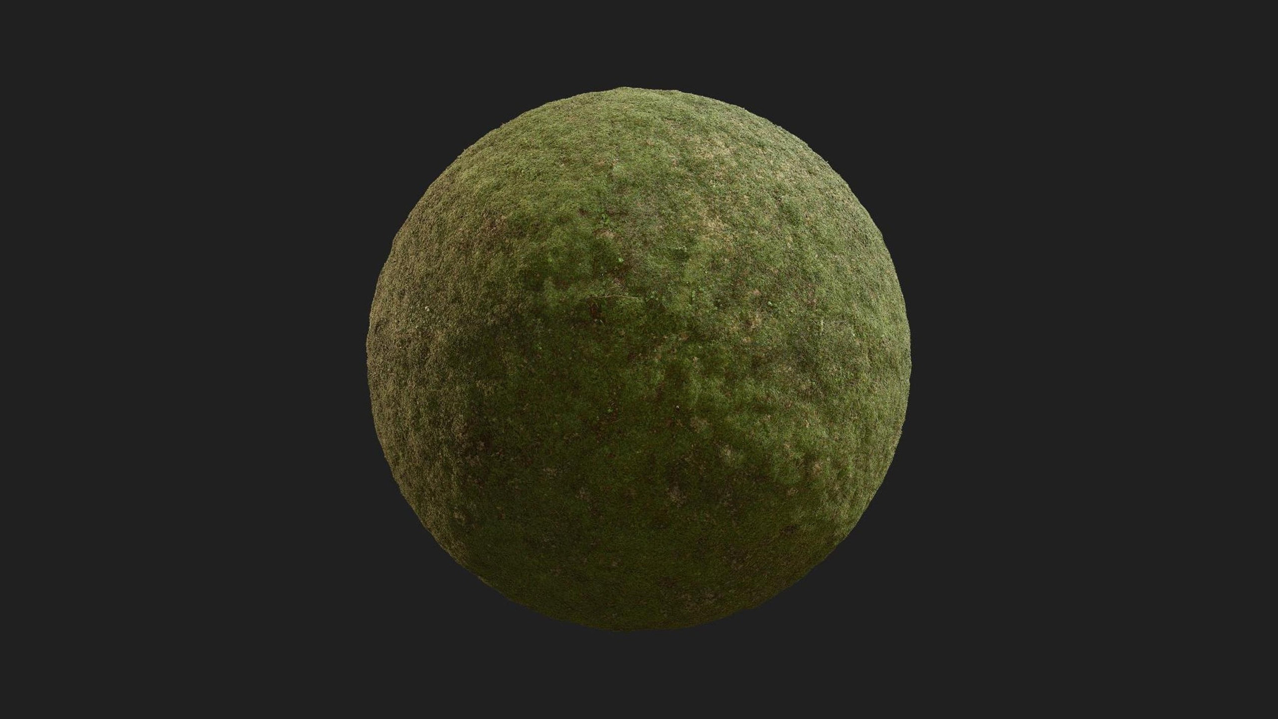 Media 1 for listing Mossy Forest Floor