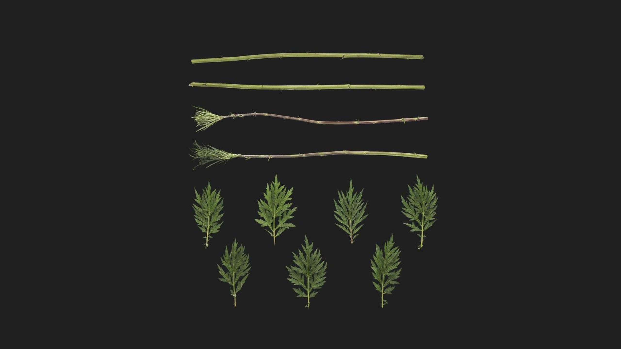 Mugwort 제품 등록을 위한 미디어 1개