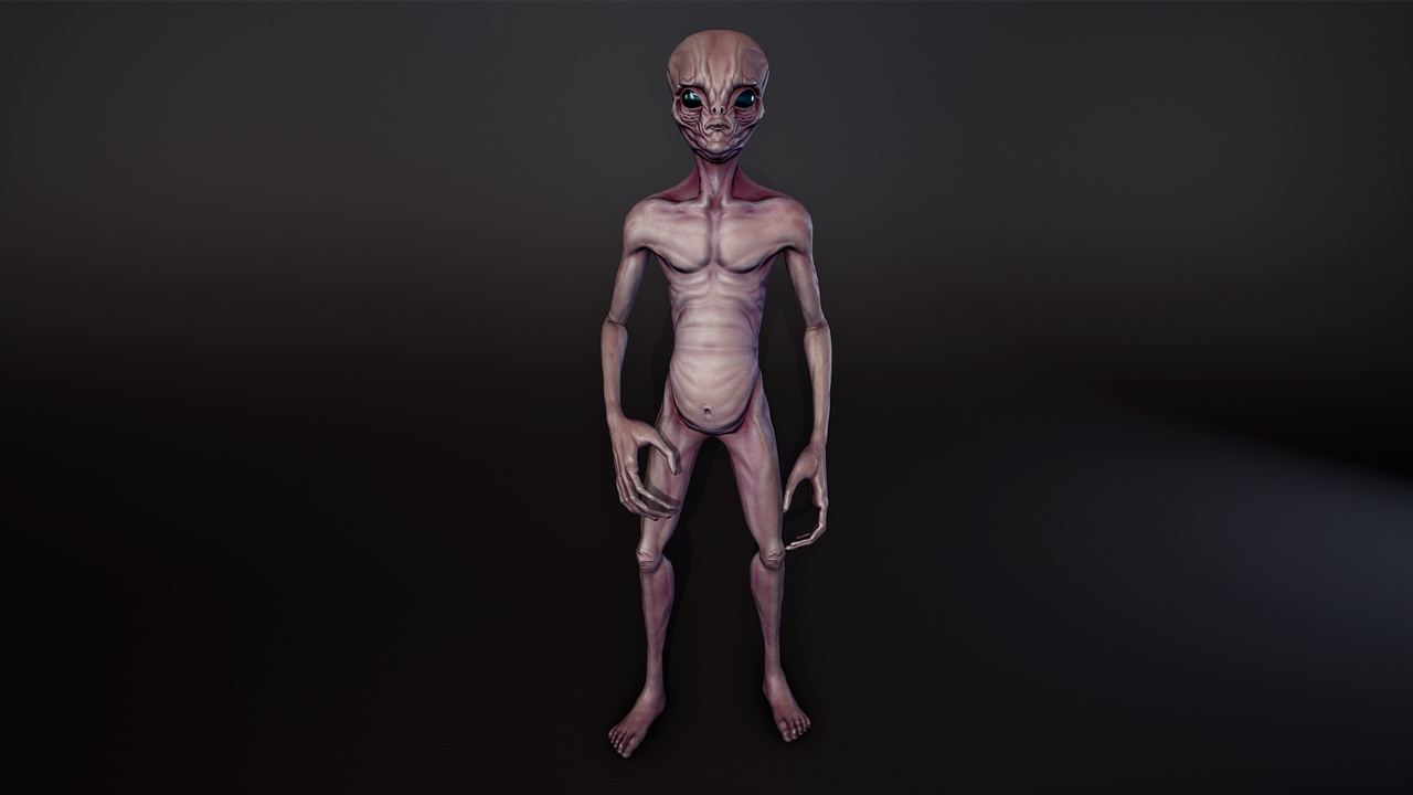 Media 1 for listing Alien03