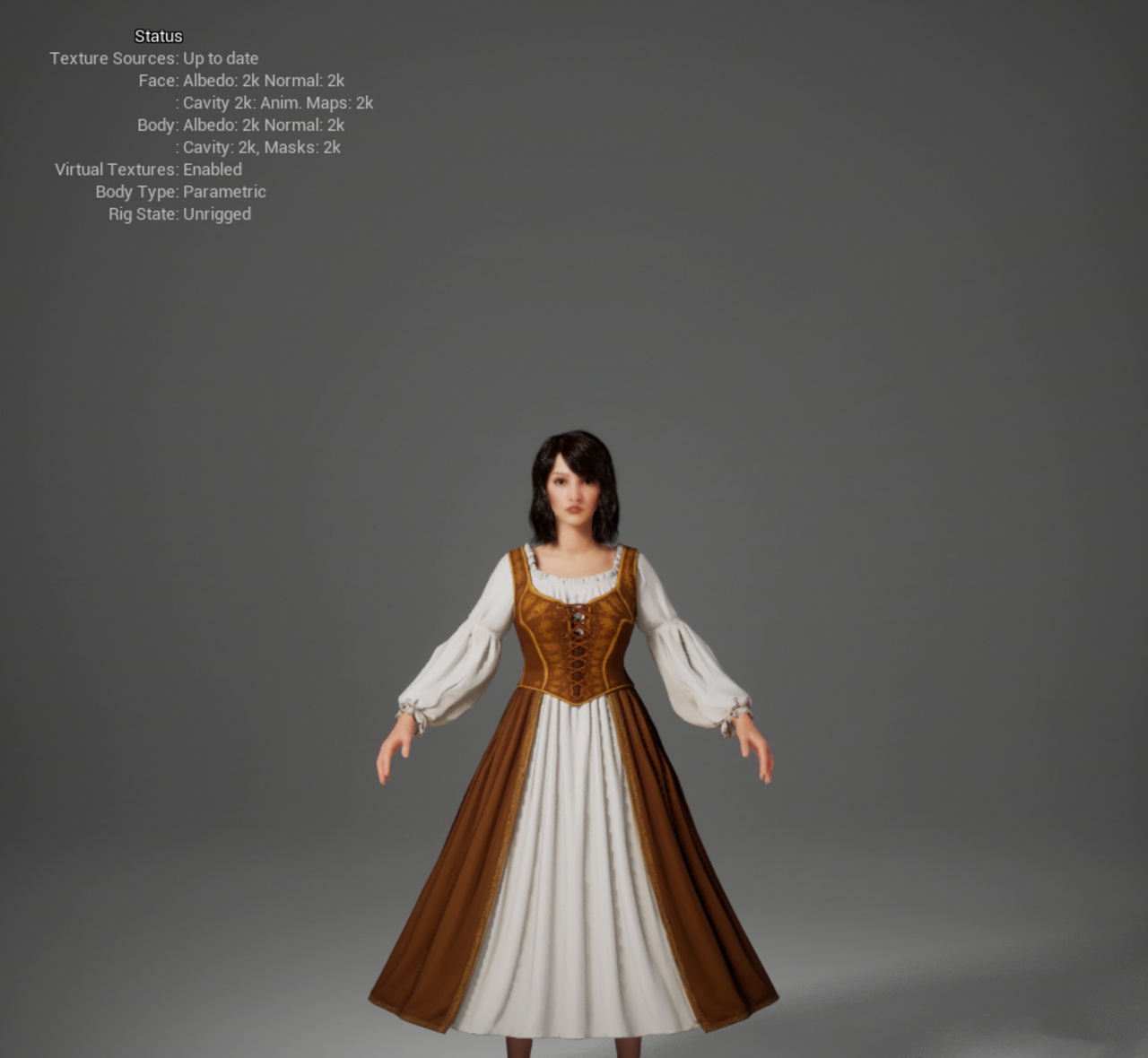 Media 1 for listing Medieval Corset Gown for MetaHuman