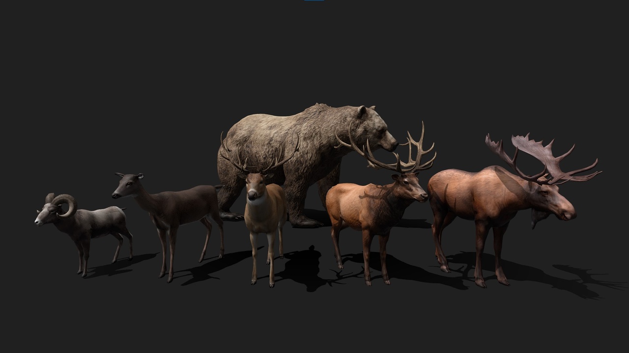 出品Realistic Animals PACK 1.0のメディア1