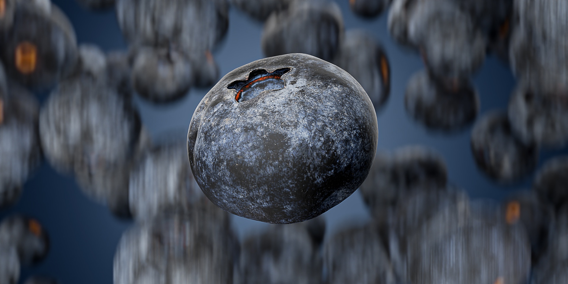 Media 1 for listing 3D Scan - Blueberry_1