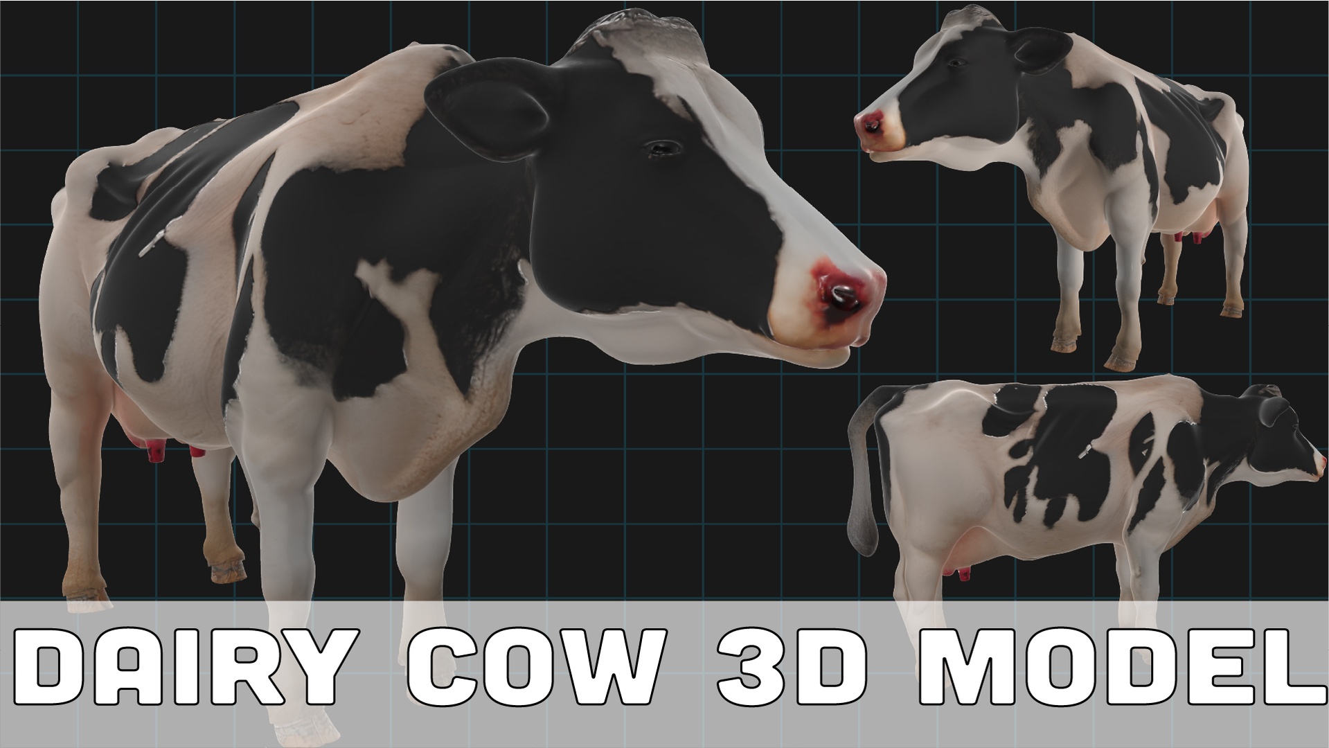 Realistic Dairy Cow 3D Model – Holstein Cow Model | Fab