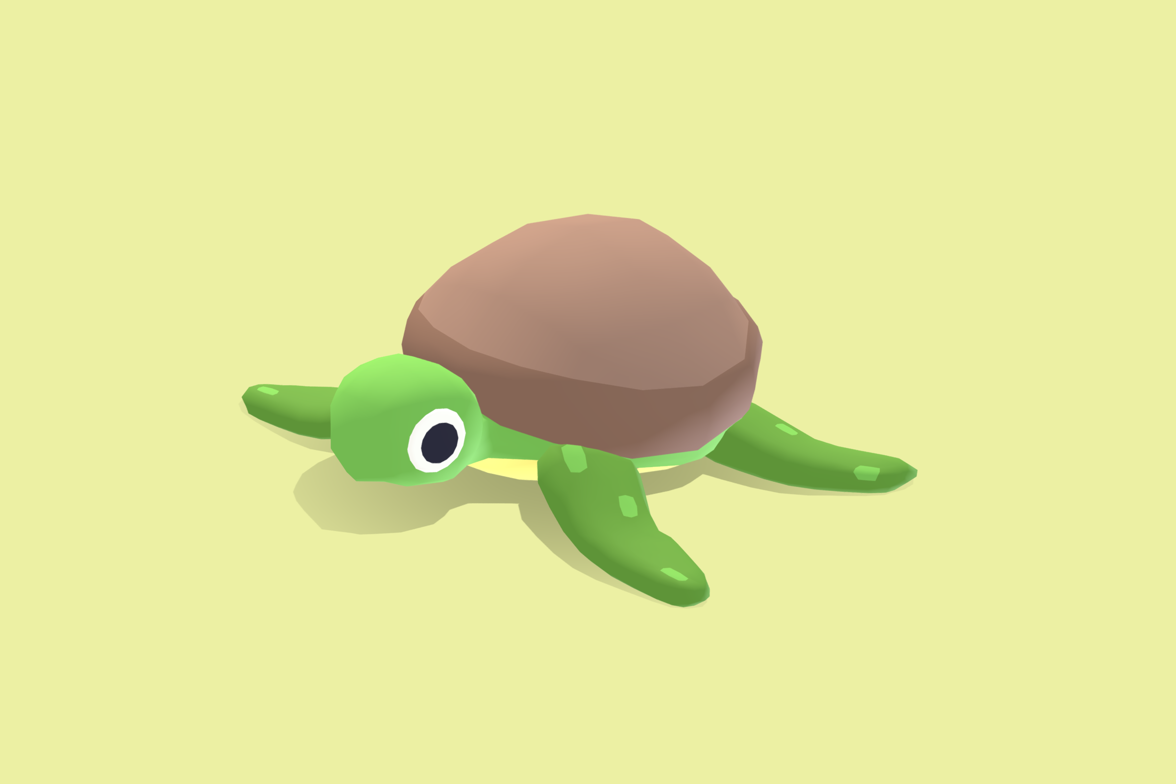 Turtle - Quirky Series | Fab