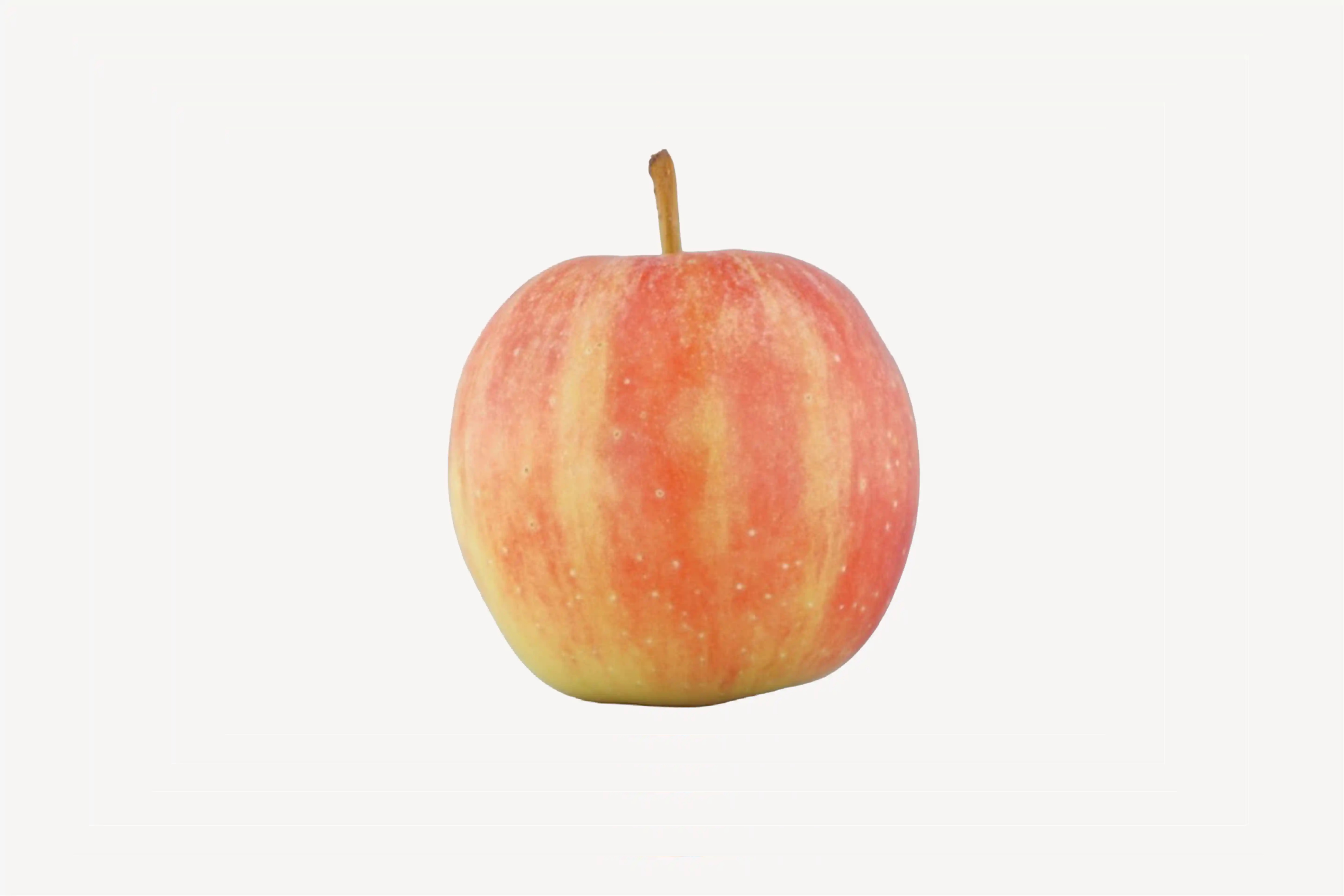 red and yellow striped apple | Fab