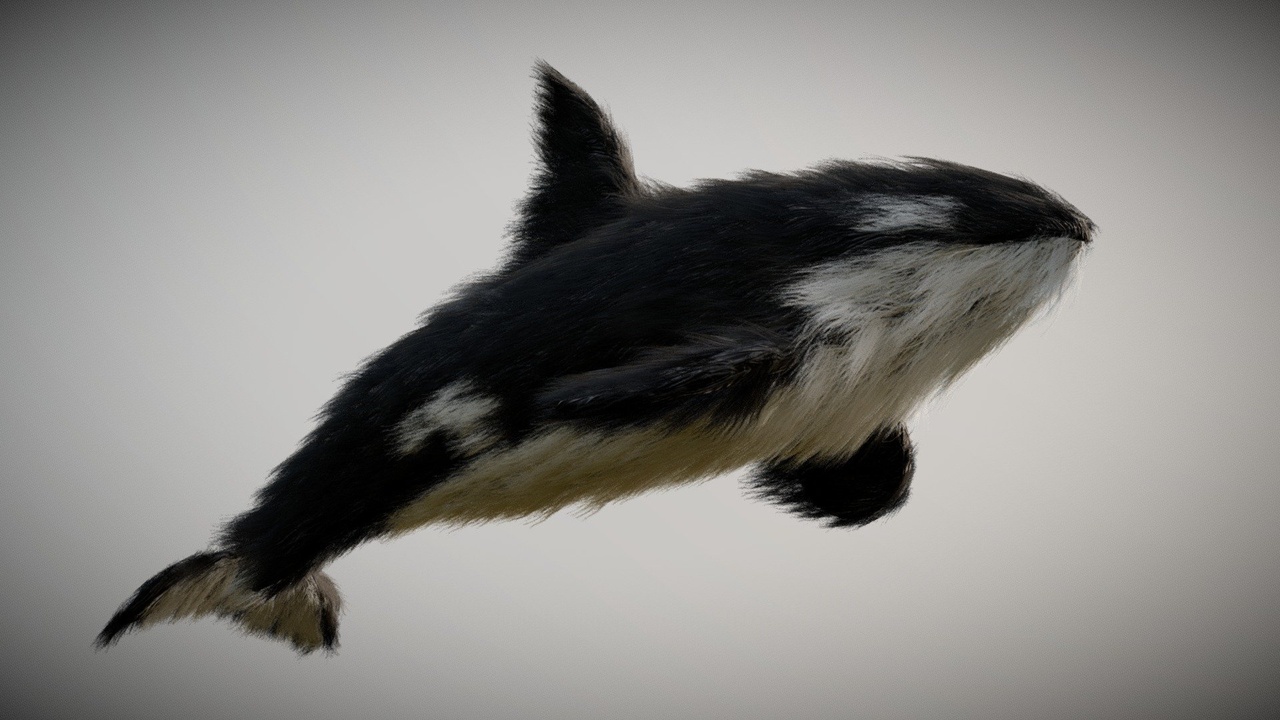 Media 1 for listing Furry orca