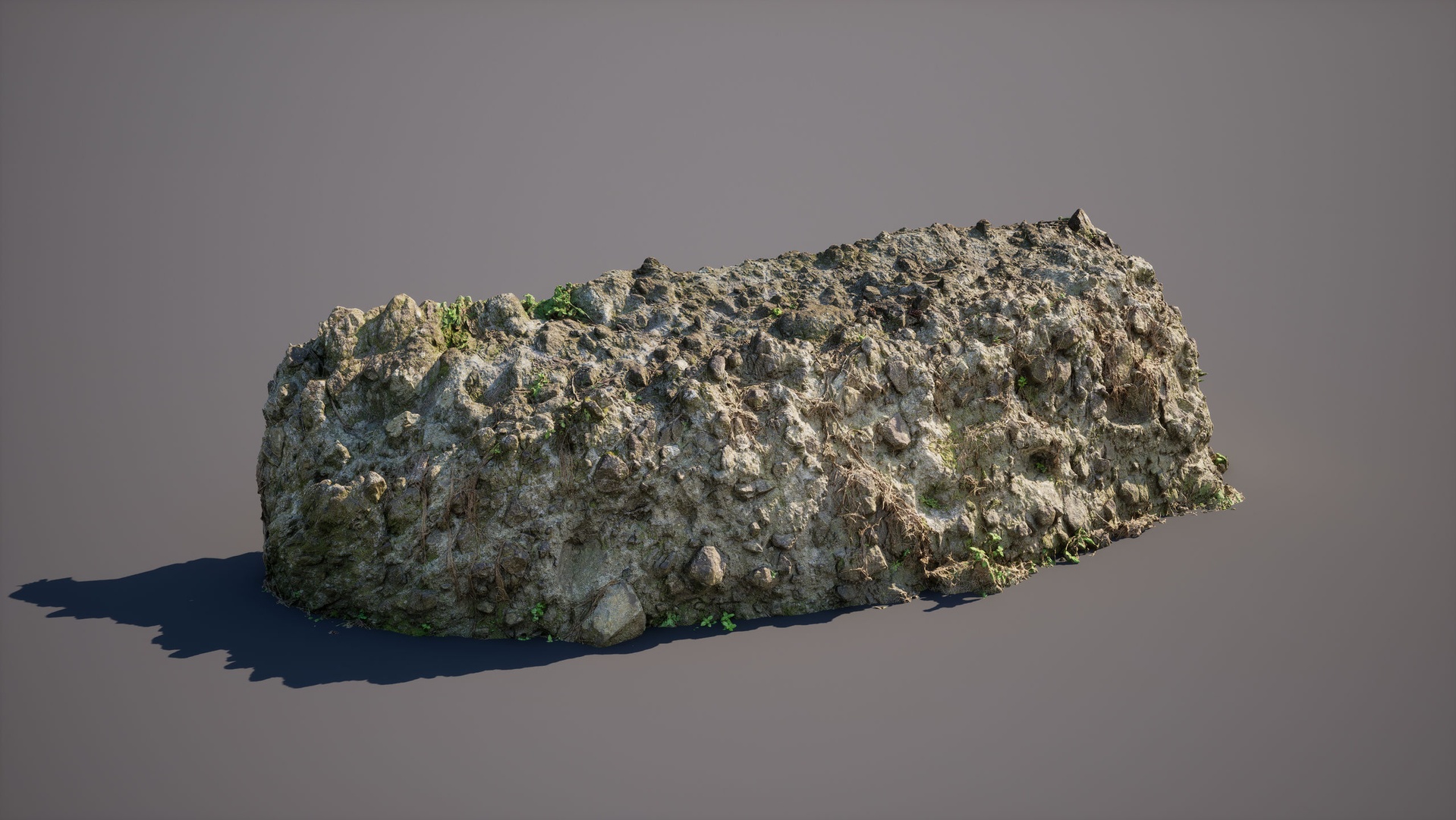 Media 1 for listing Forest Embankment 001