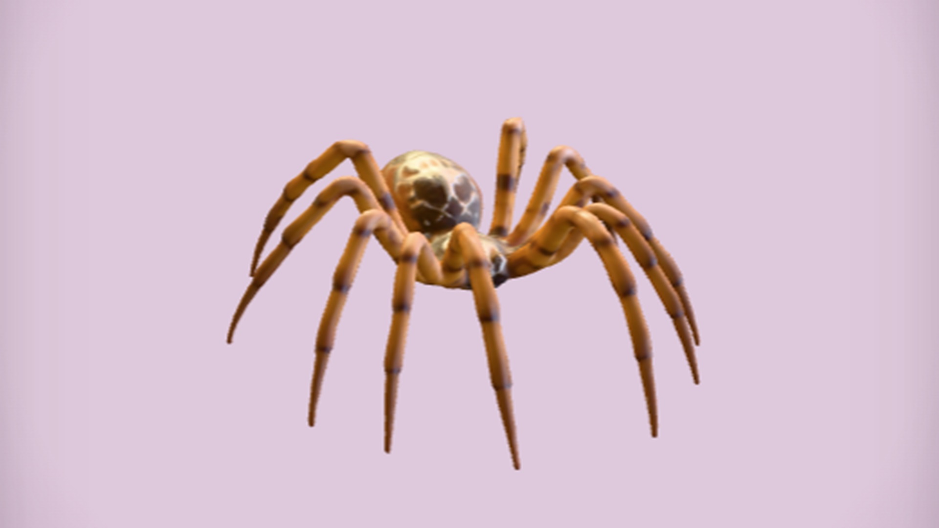 Real Simple Spiders Realistic spider with intricate patterns | Fab