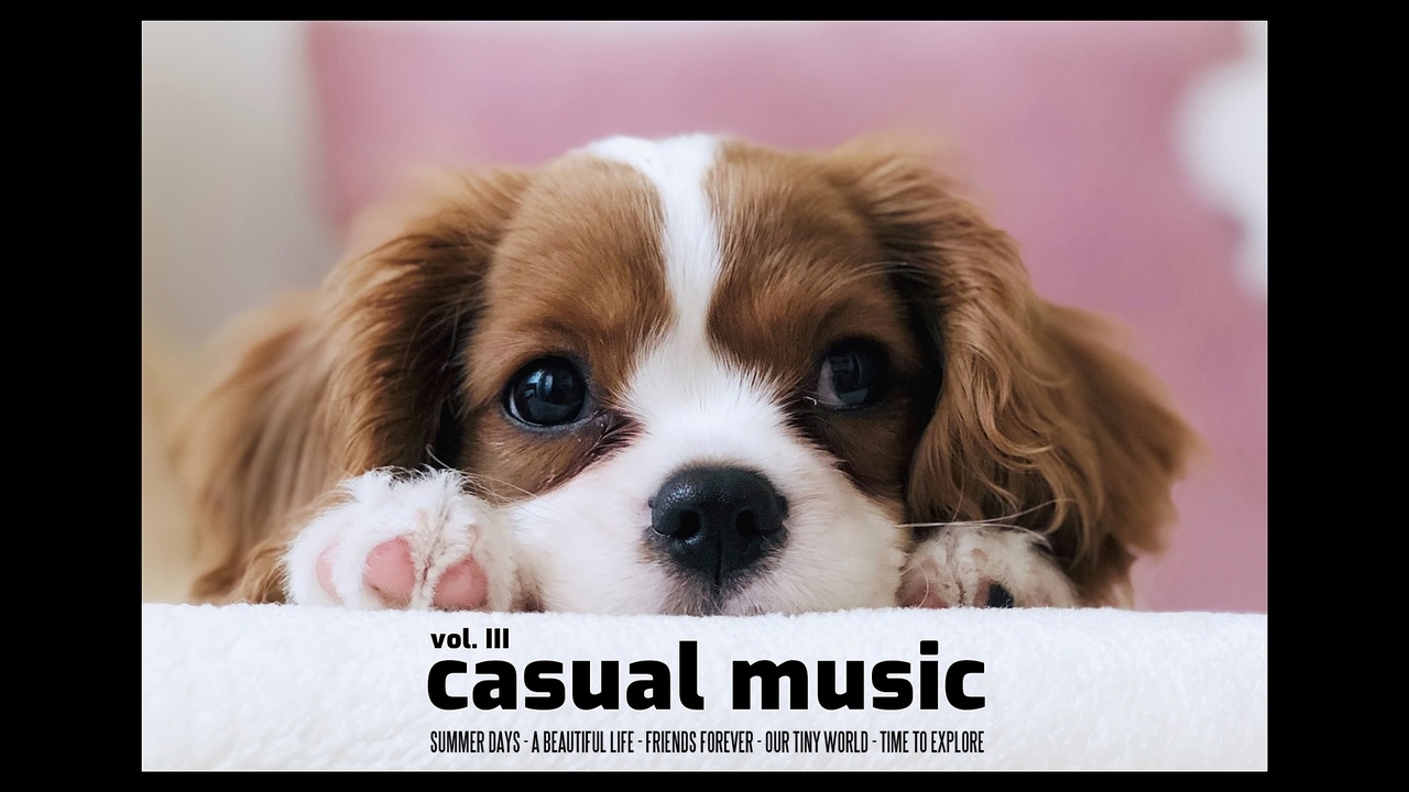 Media 1 for listing Casual Music Vol. III