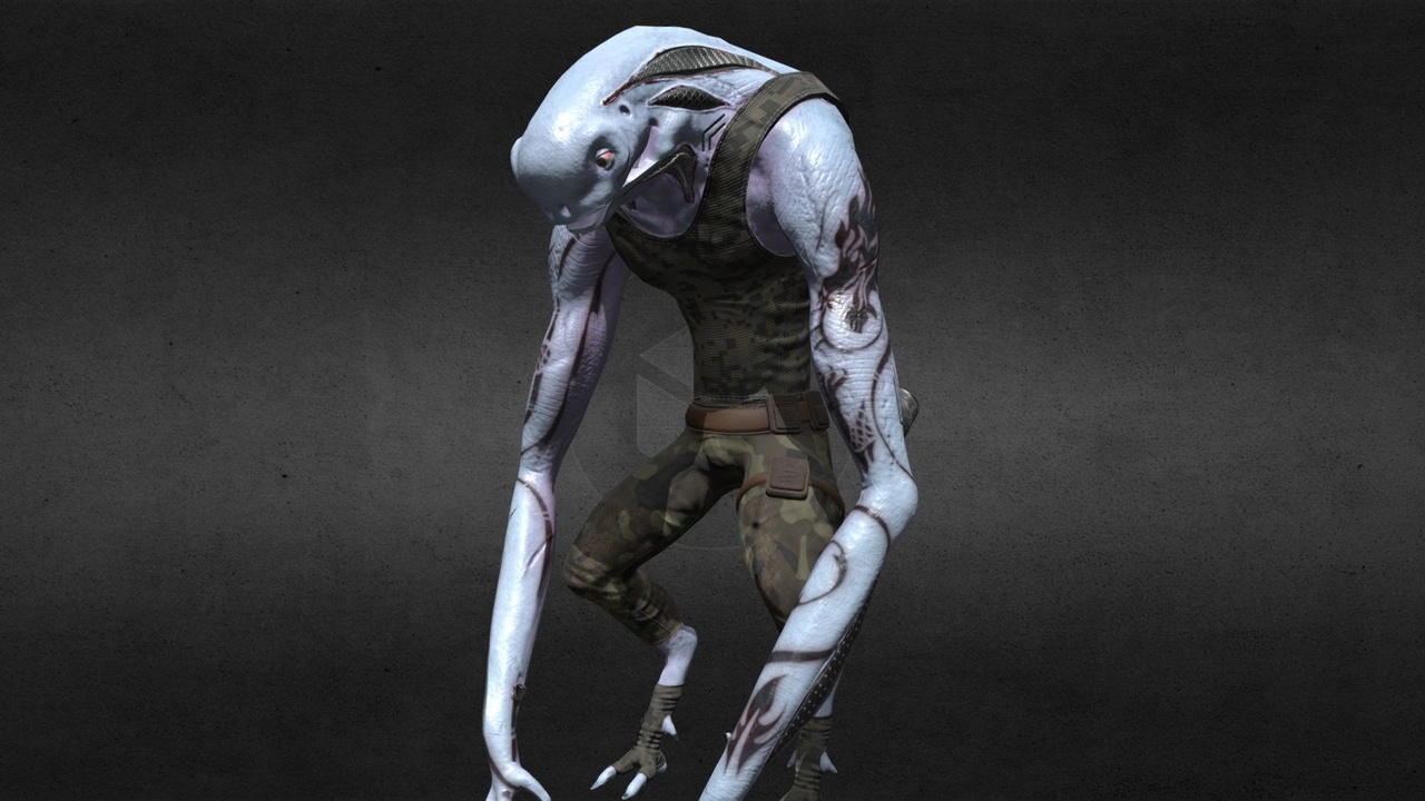 Media 1 for listing Lizard Character