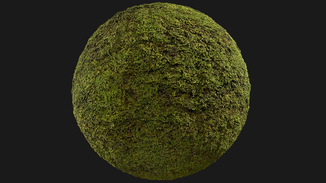 Media 1 for listing Moss (u6WUku)