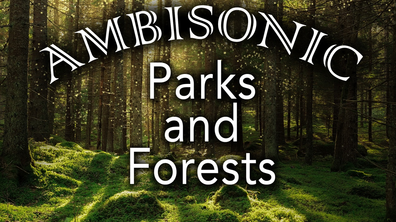Media 1 for listing Ambisonic Parks and Forests FOA /Stereo