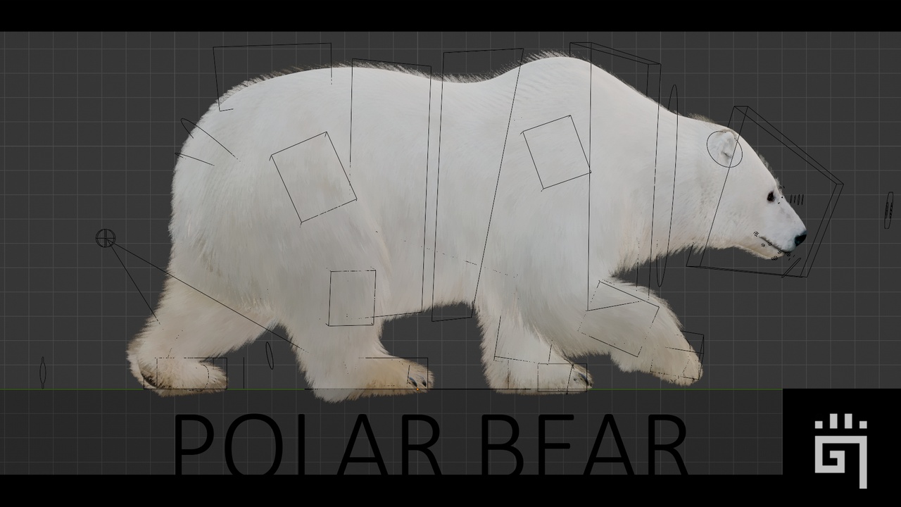 Media 1 for listing Polar Bear