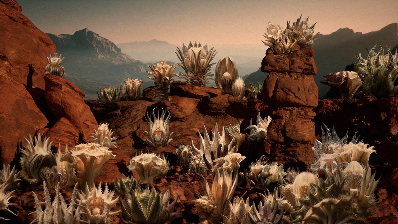 Media 1 for listing Alien Desert Plants Pack