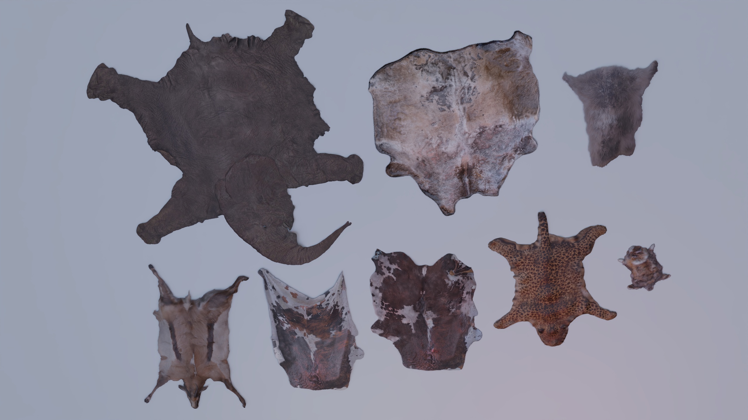 Media 1 for listing Animal pelts volume five: elephant, cow, calf, rabbit, antelope, leopard 4K