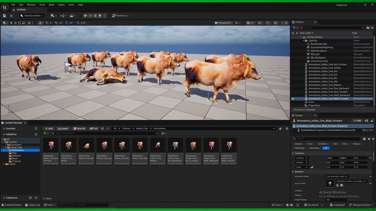 Media 1 for listing Indian Cow