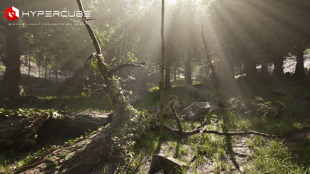 Media 1 for listing HC FOREST