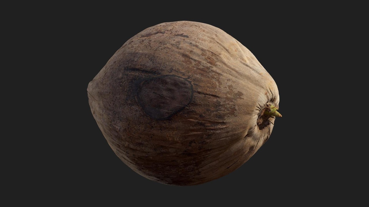Media 1 for listing Coconut