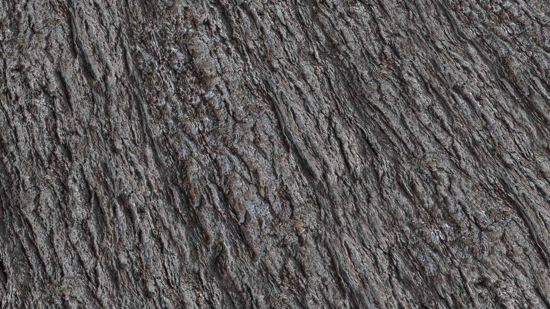 Media 1 for listing Dark Pine Bark Textures