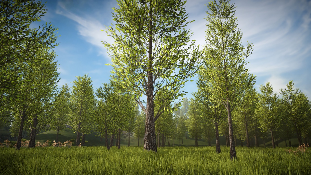 Media 1 for listing Mobile Trees Pack 46