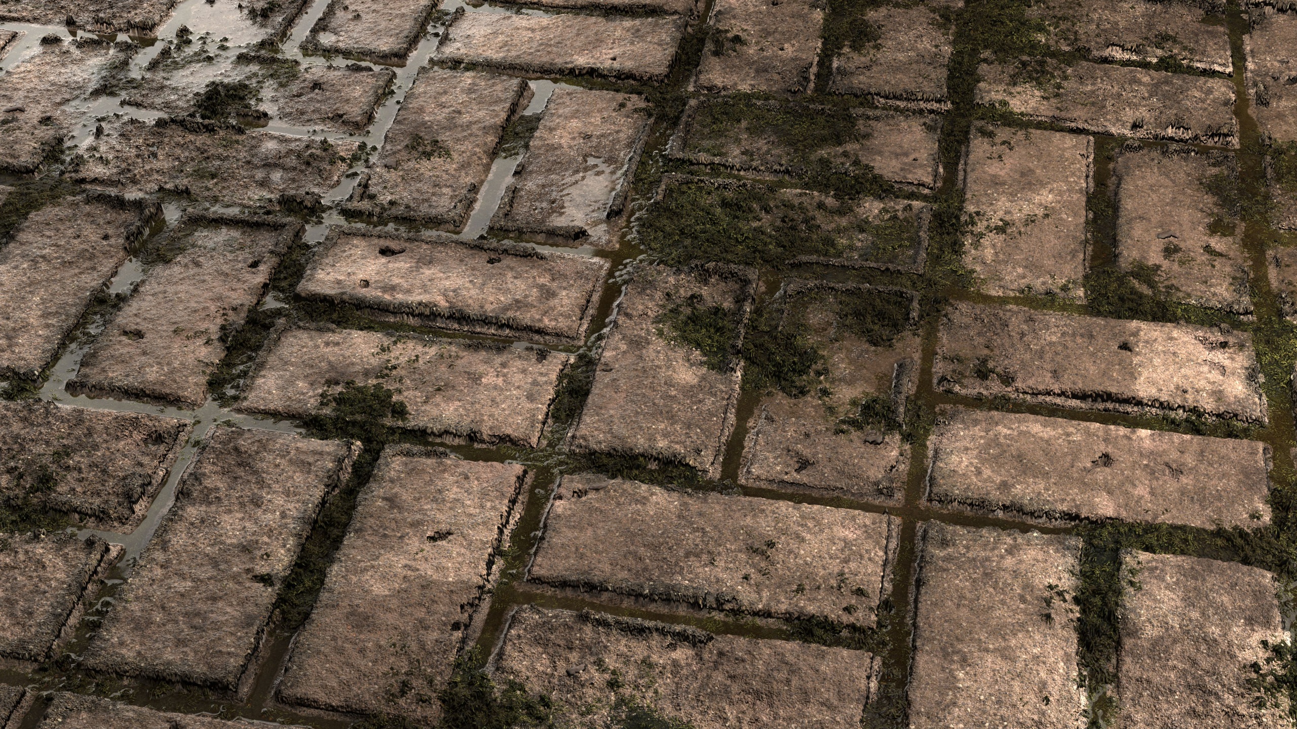 Media 1 for listing Apocalyptic Sidewalk 8K PBR Texture