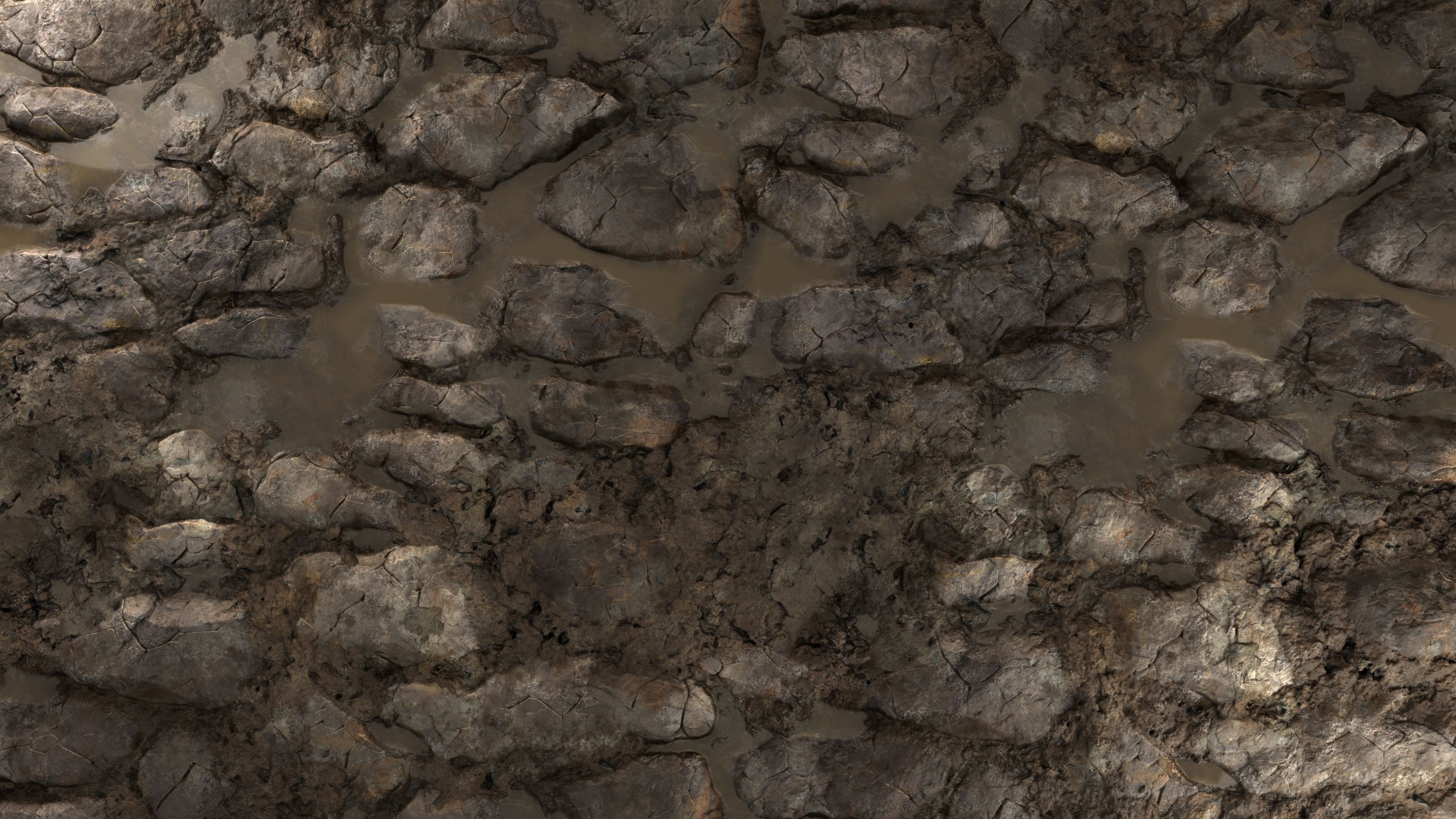 Media 1 for listing Muddy Stone Path 8K PBR Texture