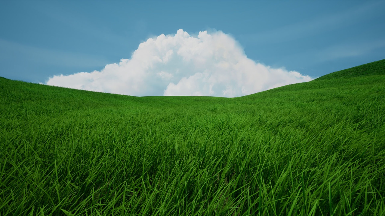 Media 1 for listing Nanite Foliage - Tall Grass