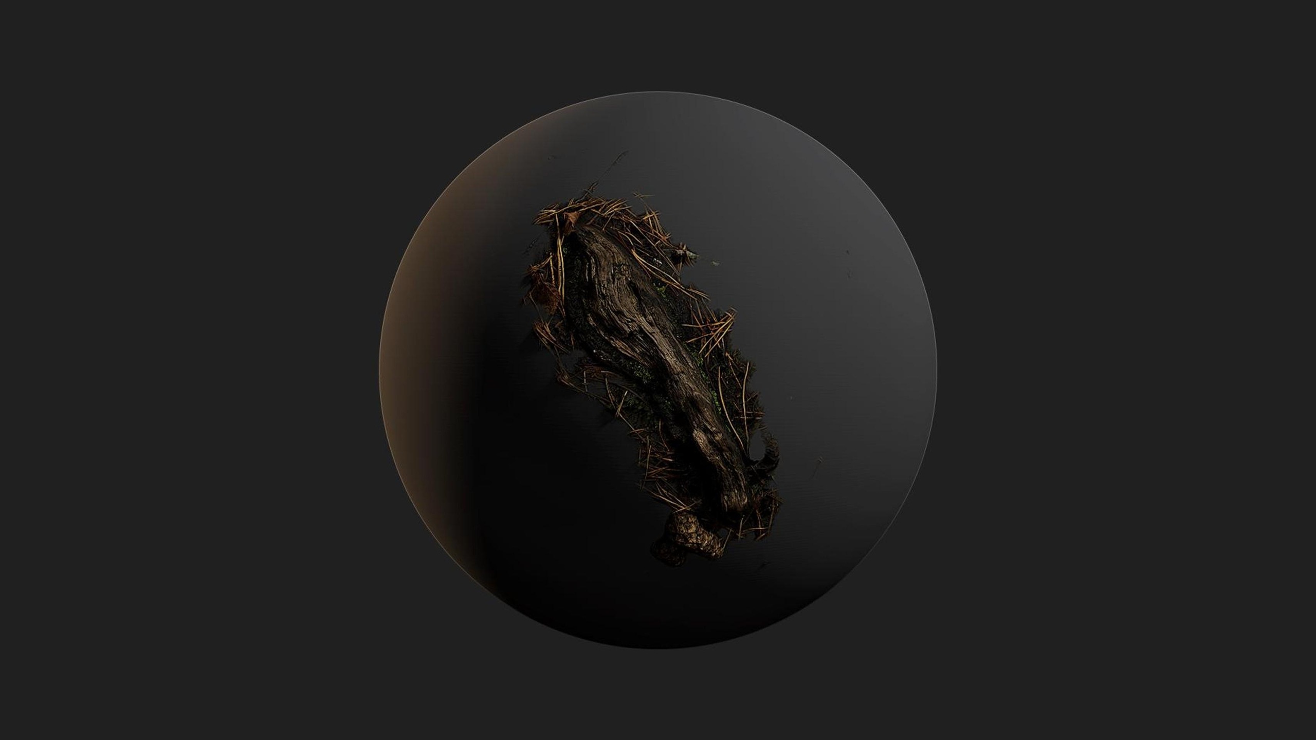 Media 1 for listing Small Fat Root