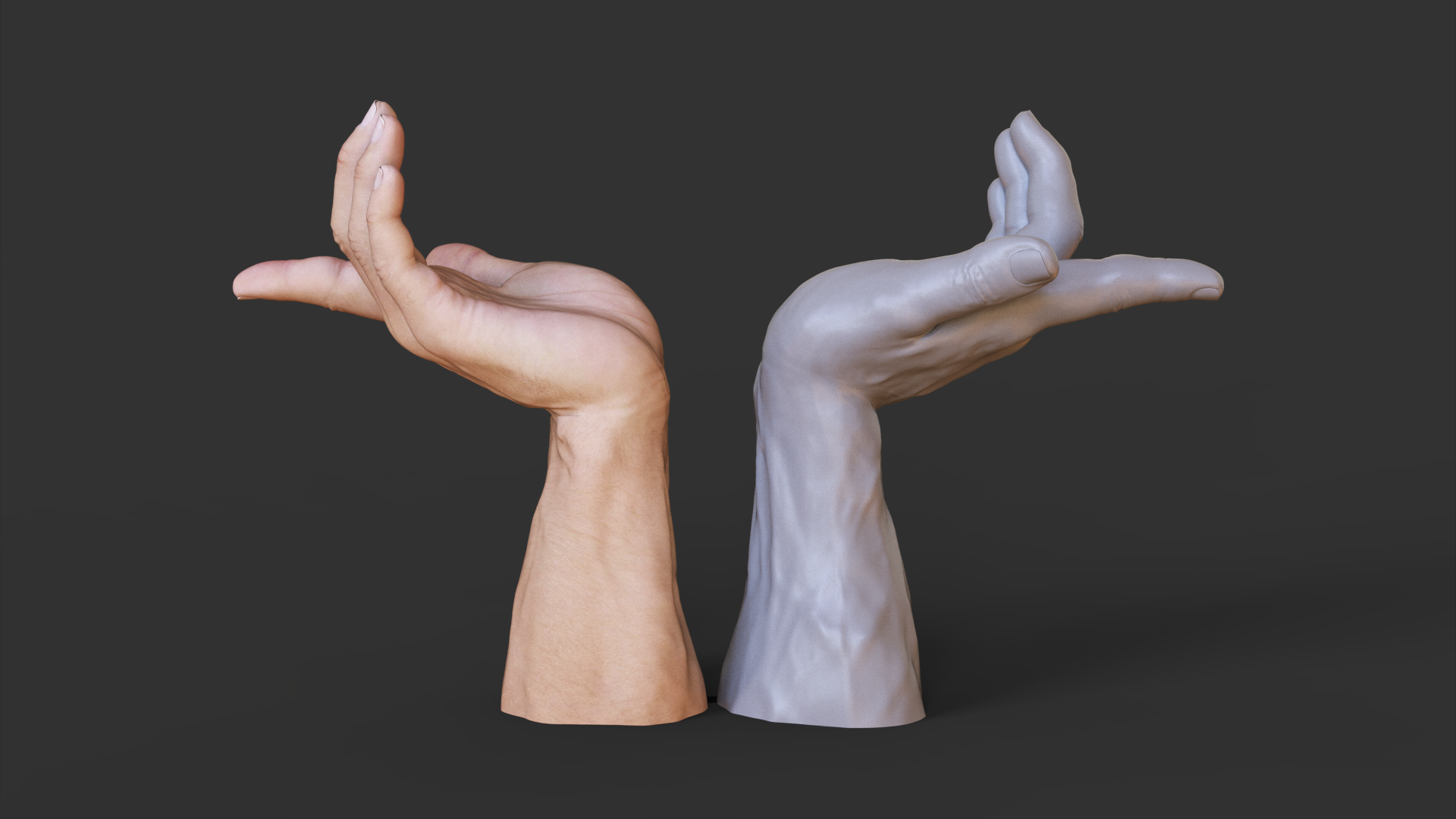 Male Hand Pose - Receiving Hand Gesture | Fab
