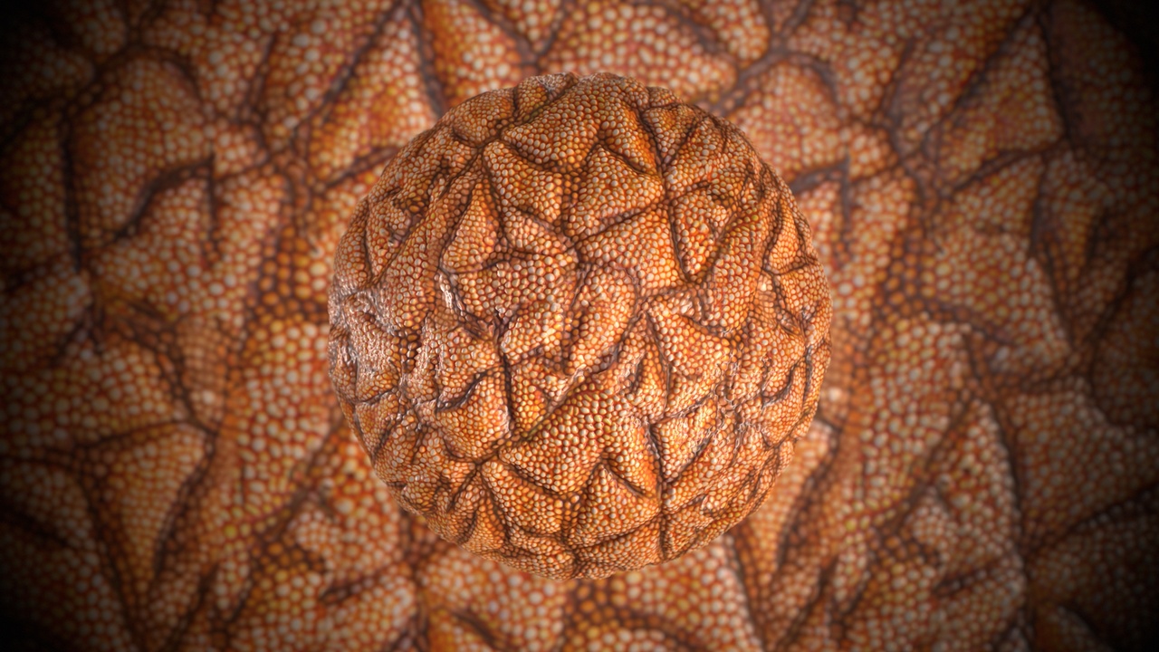 Media 1 for listing Creature Skin Material Pack 2