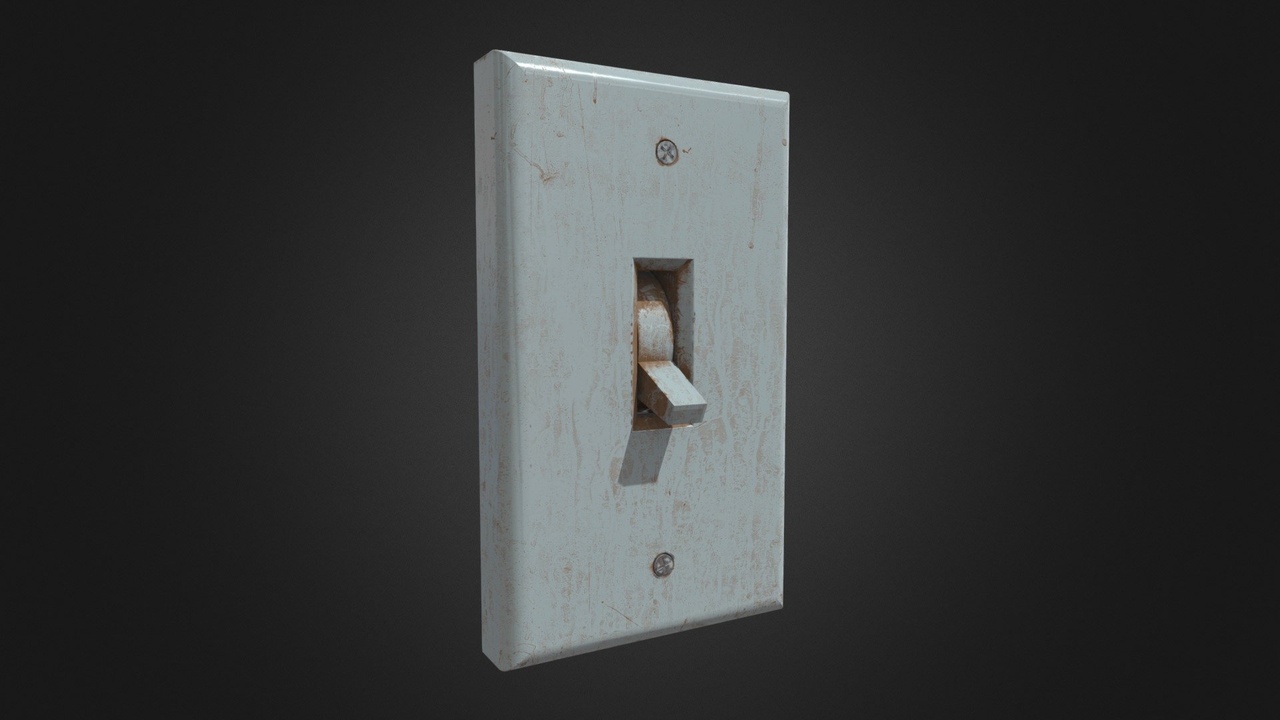Media 1 for listing Dirty Light Switch
