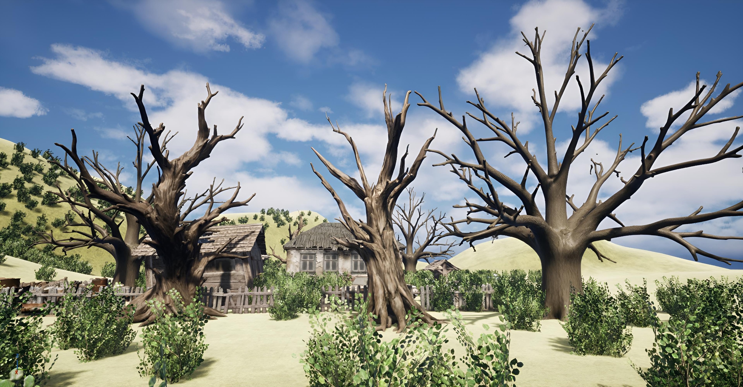Media 1 for listing Old Trees