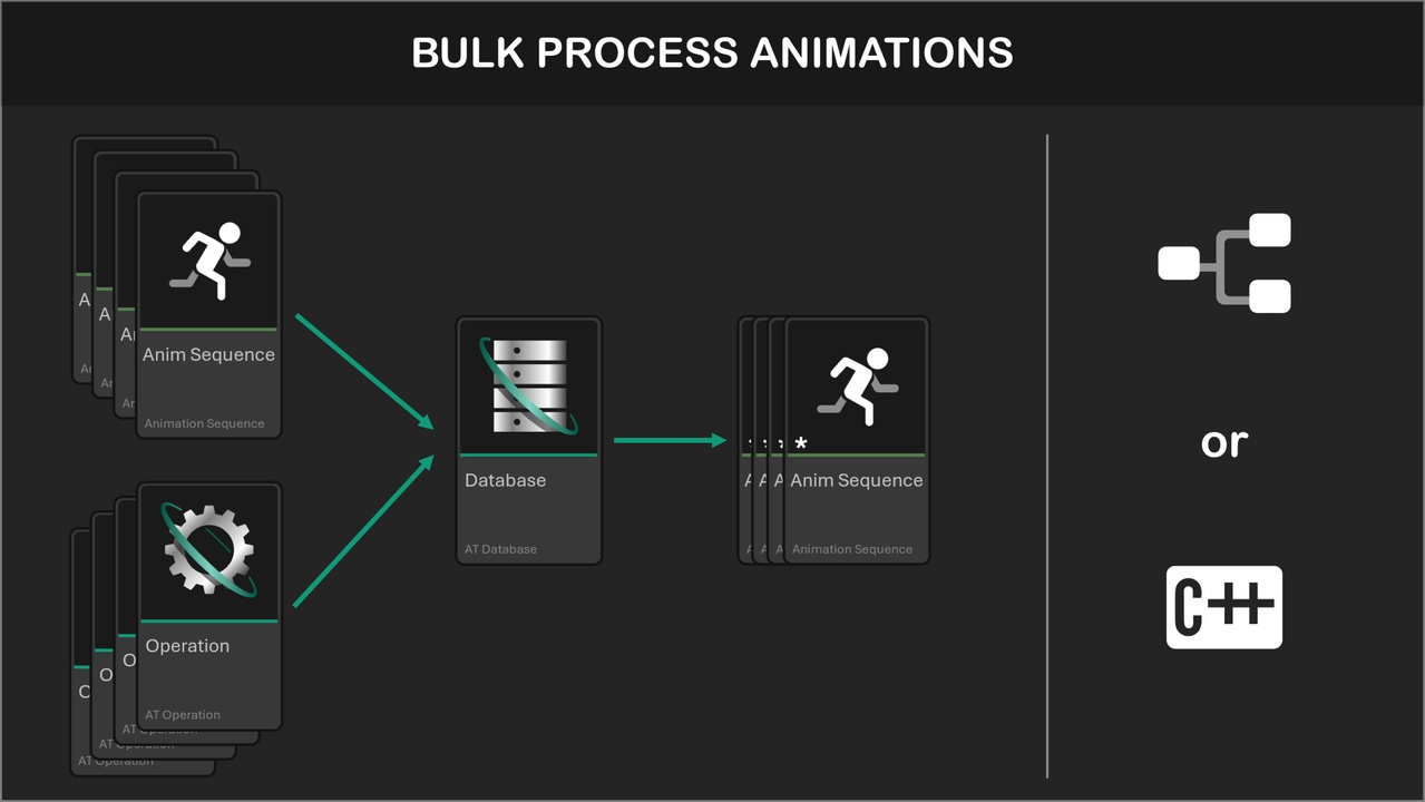 Media 1 for listing Anim Tools
